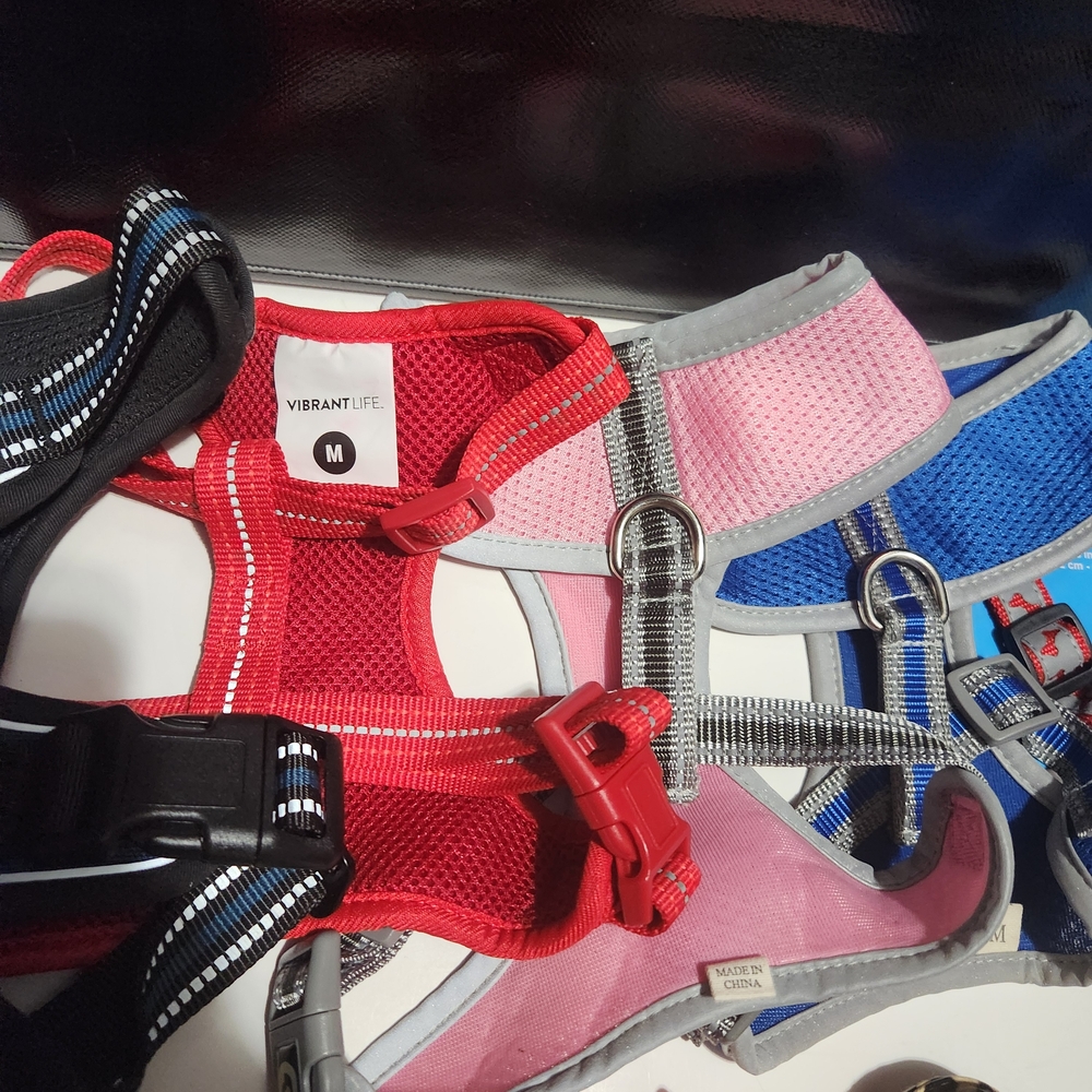 Assorted Pet Harness and Leash Set Bundle - Picture 6 of 7